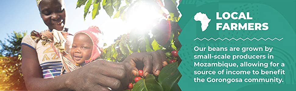 Delicious coffee grown in the rainforest
