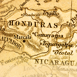 Subtle Earth Organci Coffee Beans Honduras Central America