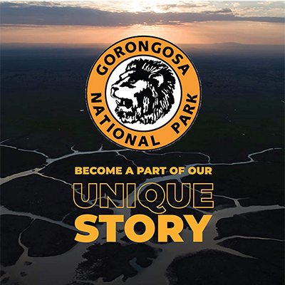 Gorongosa National Park - Premier Ground Coffee - Speak for the Trees, 12oz