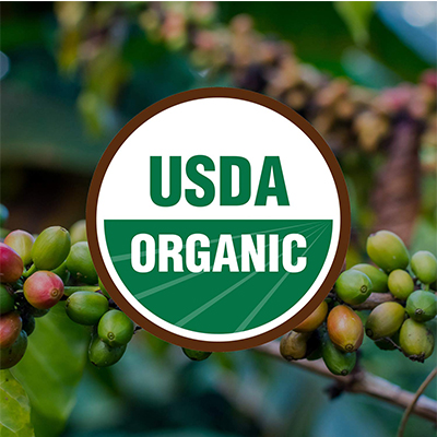 Java Planet, Organic Coffee Beans, Costa Rica Single Origin, Gourmet Dark Roast of Arabica Whole Bean Coffee, Certified Organic, Grown at High Altitudes 1 14 oz bag
