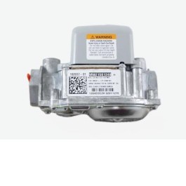 Valve-Gas (Nat) 102837-01